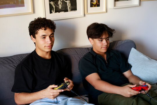 Teen brothers with controllers at home