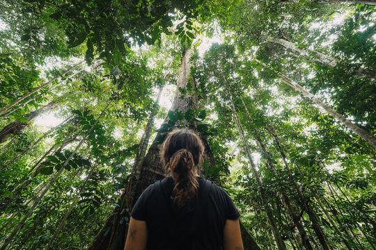 Woman admiring nature