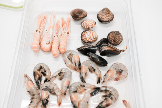 Seafood on a Tray With Shrimp, Clams, and Mussels for dissection lab