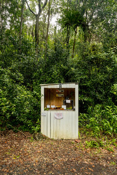 Roadside fruit stall surrounded by rainforest in Australia