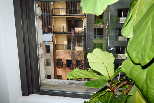 Looking out at a City Building From Inside a Room