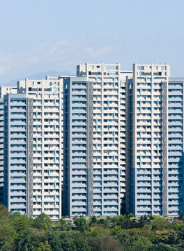 Modern High Rise Apartments Above Green Urban Park