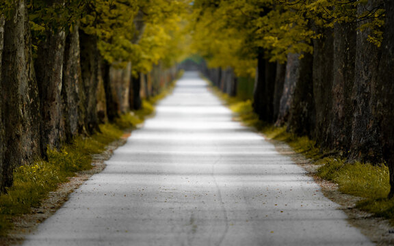 The Long Road Ahead