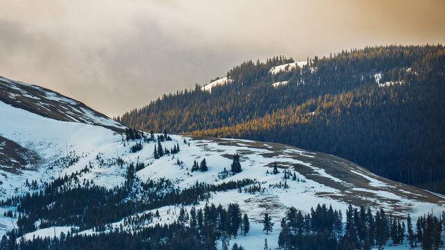 Yellowstone national park mountains showing winter forest landscape