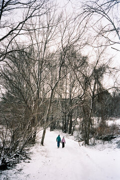 Family together walk forest  Vermont UGC