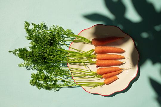 Carrots Arranged On Plate