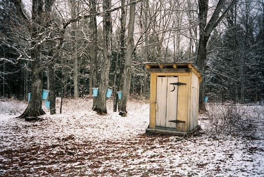Vermont Maple tree syrup bucket Outhouse 