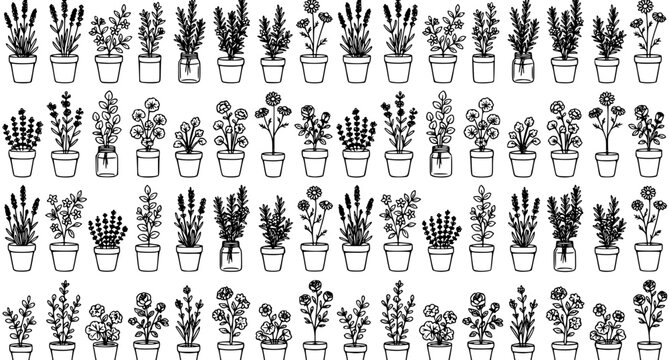 Seamless flower plants line pattern vector with minimalist botanical line art drawings of potted herbs and blossoms on white background
