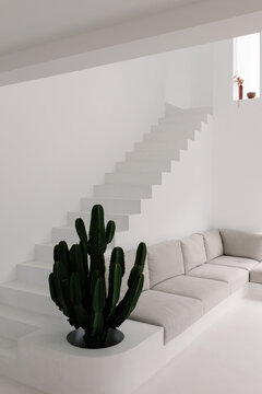 A modern living room features a staircase decorated tith a cactus