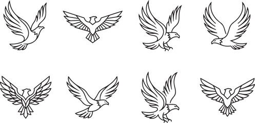 Fototapeta premium Eagles and birds of prey in flying poses
