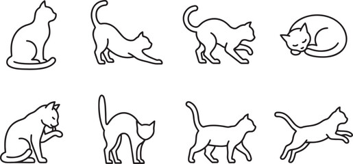 Fototapeta premium Set of cats in different positions and actions