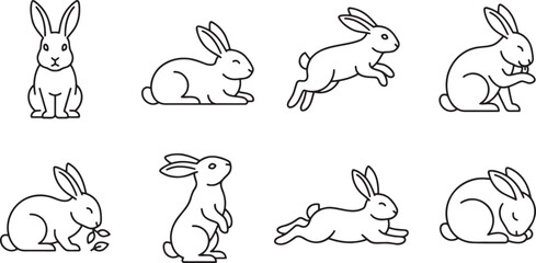 Obraz premium Set of cute rabbits in various poses and activities