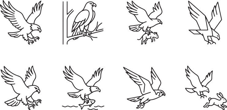 Set of eagles hunting and perched in trees