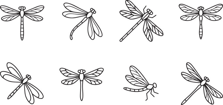 Set of dragonfly species in various flight poses