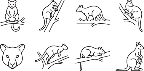 Obraz premium Collection of small mammals and kangaroos