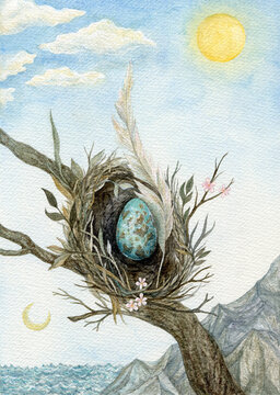 Nest with blue egg and feather 
