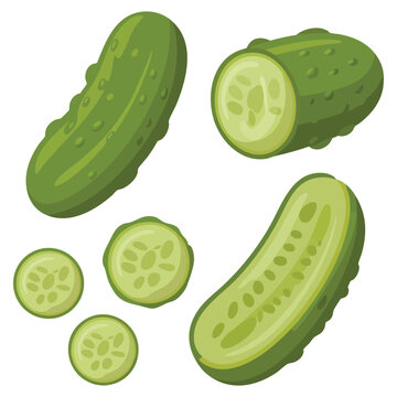 Isolated pickles vector set on white background. Food themed illustration suitable for kitchen graphics, snack designs and cooking related artwork.