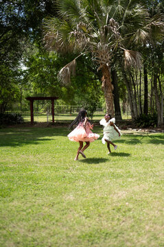 Children Play and Spin in Grassy Field Under Palm Trees