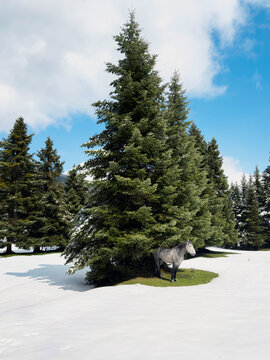 Gray horse standing under tree in winter landscape