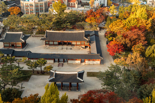 Seoul skyline with palace and autumn trees