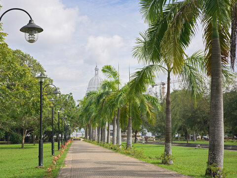 Path Lined With Palm Trees at Cinnamon Gardens Colombo