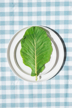 Leafy Green Vegetable on Plate
