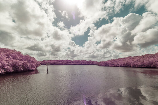 Loxahatchee River