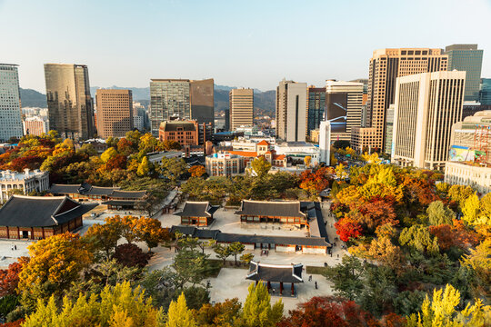 Seoul skyline with palace and autumn trees