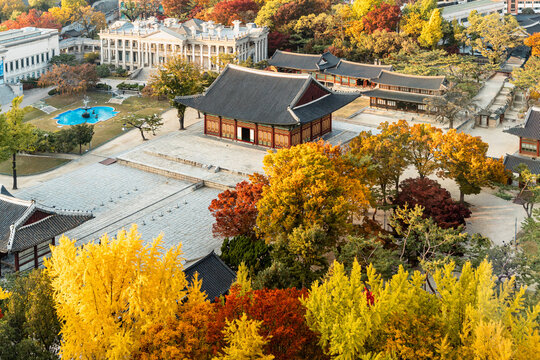 Palace courtyard with autumn trees and fountain