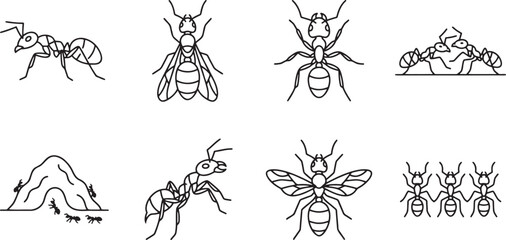 Ant colony and insect behavior set © HM