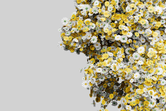 Dense Floral Texture Yellow White Abstract Background