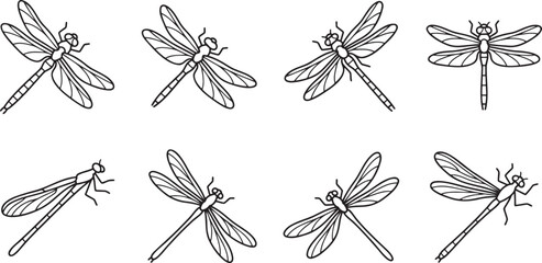 Dragonfly insect species and wings icons © HM