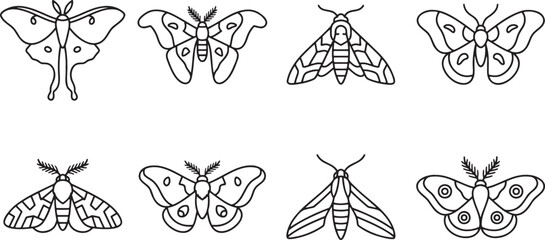 Moth and butterfly species insect icons © HM
