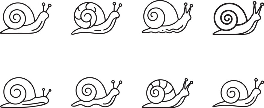 Snail and gastropod mollusk shell icons