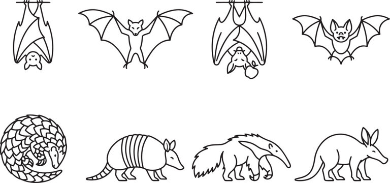 Armadillo and anteater species icons