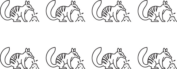 Obraz premium Numbats foraging and searching in ground dirt