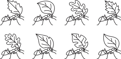 Insects mimicking leaves and camouflage behavior © HM