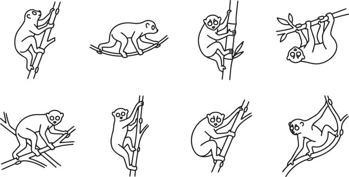 Monkeys climbing trees in jungle environment