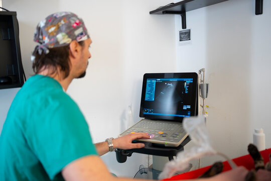 Doctor examines a patient using ultrasound machine
