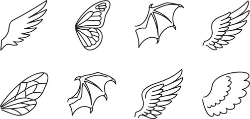 Collection of diverse bird and insect wing shapes © HM
