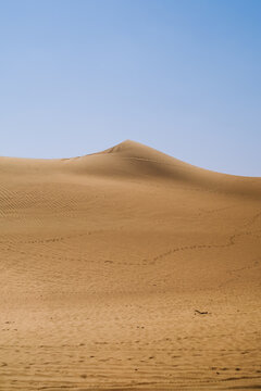 Wind shaped desert dune under clear blue sky