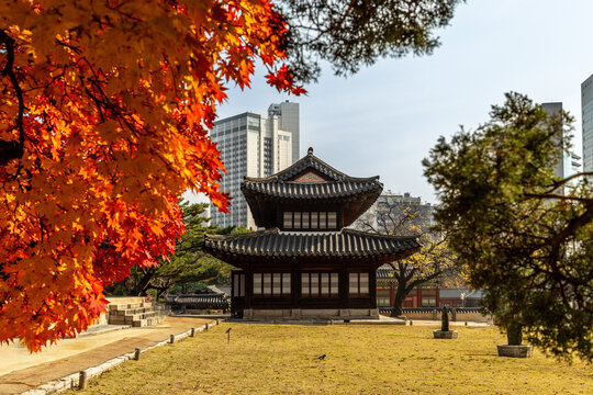 Traditional Korean pavilion with autumn trees