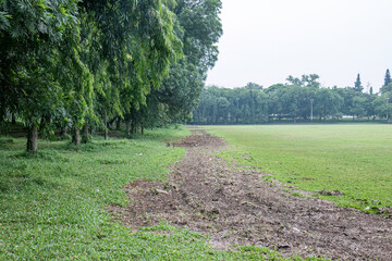Fototapeta premium Cleared soil corridor running along a public park field. Brown mulch trail marks maintenance work beside green lawn. Rough ground path for restoration and land care themes