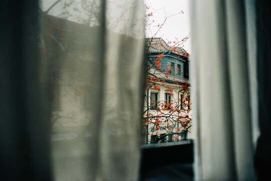 House facade seen through curtains and autumn branches