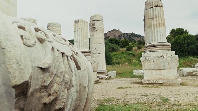 Ancient Ionic Columns Of The Temple Of Artemis In Sardis Salihli