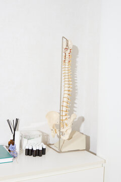 Medical interior with spine model and therapy tools