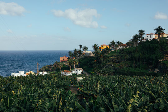 Coastal hillside village and banana plantation in San Andres