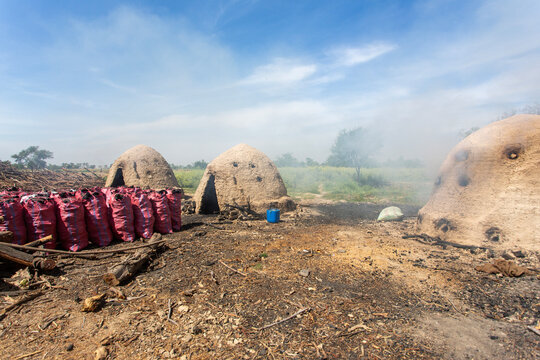 Smoke and Soil: Charcoal Making in Sindh
