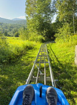 Mountain Slide cart  summer fun forest 