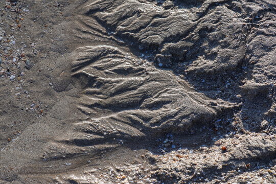  Tracks in sand.